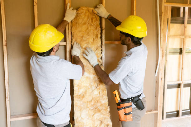 Trusted Stewartville, AL Insulation Experts